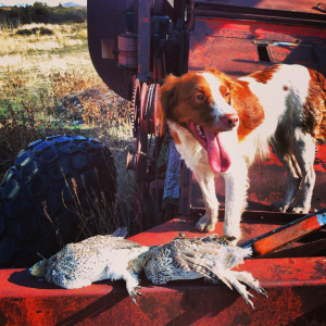 Misty poses with out birds. 