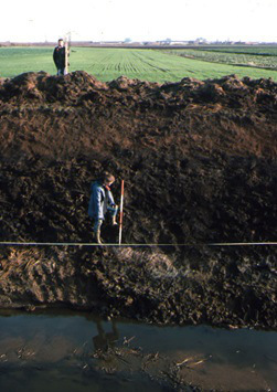 Flag Fen spoil heap