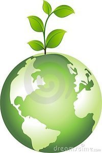 globe-plant-9328653