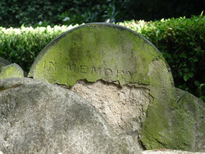 Image from Flikr Creative Commons via Scott Davies