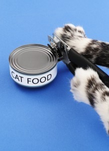 cats and can openers