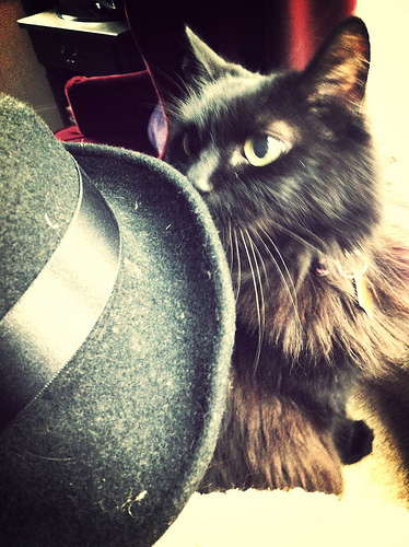 This was my smallest hat.