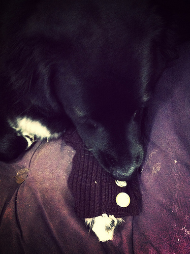 No, Greyson. We do not eat our kicky clock buttons.