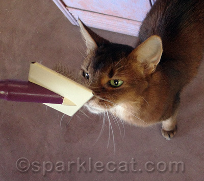 I even like to touch noses with it. The brush is my friend!