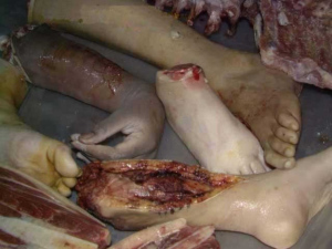 Yes, all of this is edible!