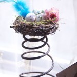 Nest_with_Blue_Feather_Spring588
