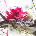 Rose_on_Branch_960
