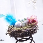 Nest_With_Blue_Feather_966