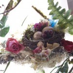 Nest_on_Branch_966