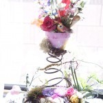 Clay_Pot_on_Spring_588
