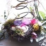 Bottom Nest_with_Spring_960