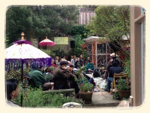 Backyard concert with Peter Case