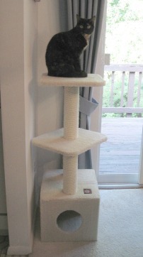 cat_tree