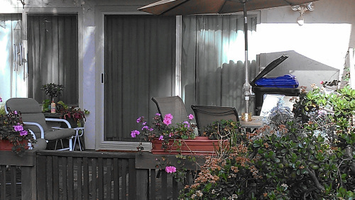 Lenore's patio just as she left it