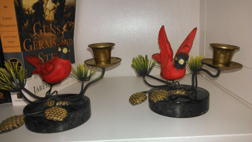 Her January cardinals