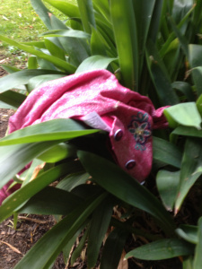 Lost and found 2 changeling