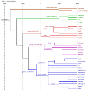 Protolanguage Tree for the Hypothetical Proto-Mayan Language