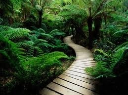 walk in nature