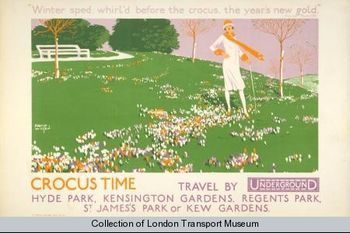 Crocus time david wilson 1926