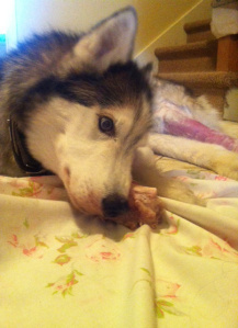 image-7