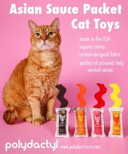 catnip_cat_toys