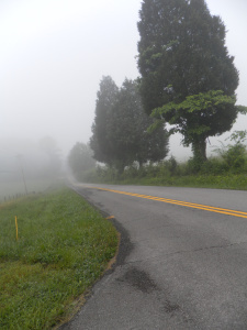 SAMSUNG DIGITAL CAMERA