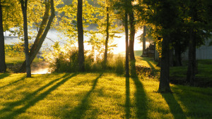 SAMSUNG DIGITAL CAMERA