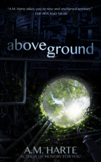 Above Ground by AM Harte