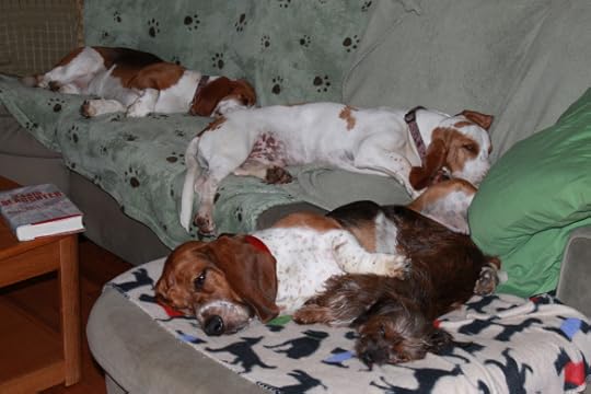 Snore! Audrey and the Brudders from anudder mudder!