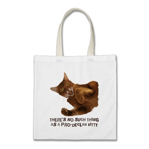 There's no such thing as a pro-declaw kitty!