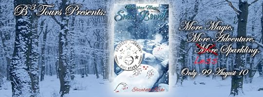 Snowbound Banner