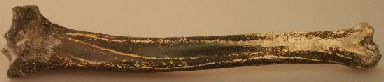 Hartlepool monkey bone.