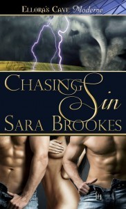chasingsin_msr-2