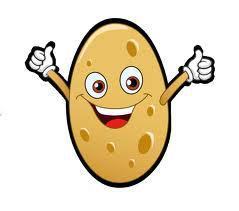 potato