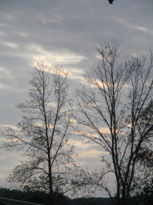 SAMSUNG DIGITAL CAMERA