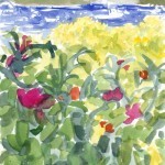 The exuberance of flowering bushes on the beach in (finally) the sunshine.
