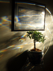 Prismatic light shining on Egyptian Goddess Ma'at