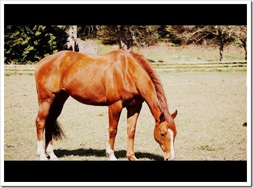 15 May 1 13-05-2013 13-39-10