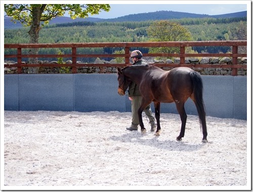 14 May 2 14-05-2013 11-39-20