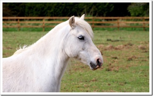 13 May 1 13-05-2013 15-26-36