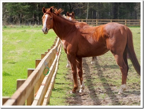 13 May 2 13-05-2013 15-27-29