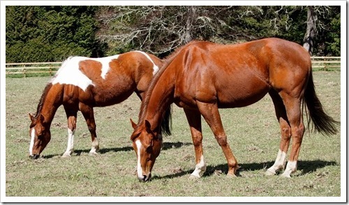 13 May 3 13-05-2013 13-38-20