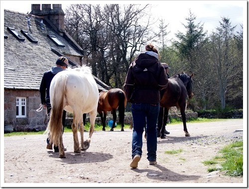 13 May 4 13-05-2013 14-05-27