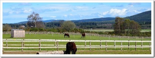 13 May 7 13-05-2013 14-35-55