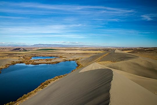 Bruneau-Sand-Dunes