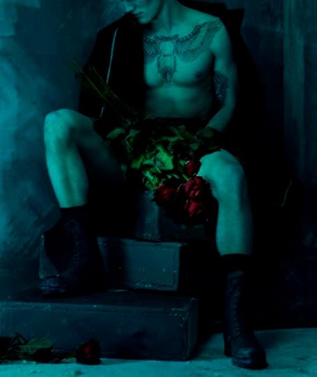 red roses flowers valentine