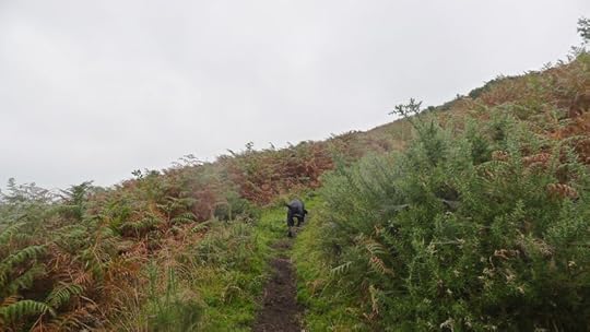 Hillside 3