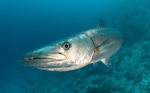 The One Thing You Must Do to Achieve Break-Through Results