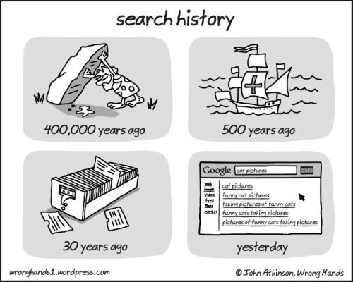 cartoon of what people did through history,which ends with Google search for cats