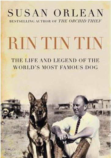 Rin Tin Tin